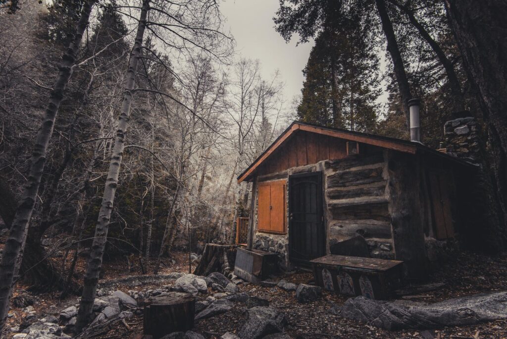 a cabin in the woods