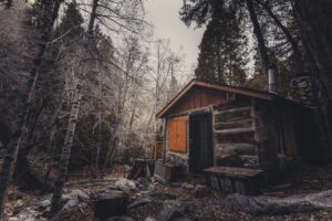 a cabin in the woods